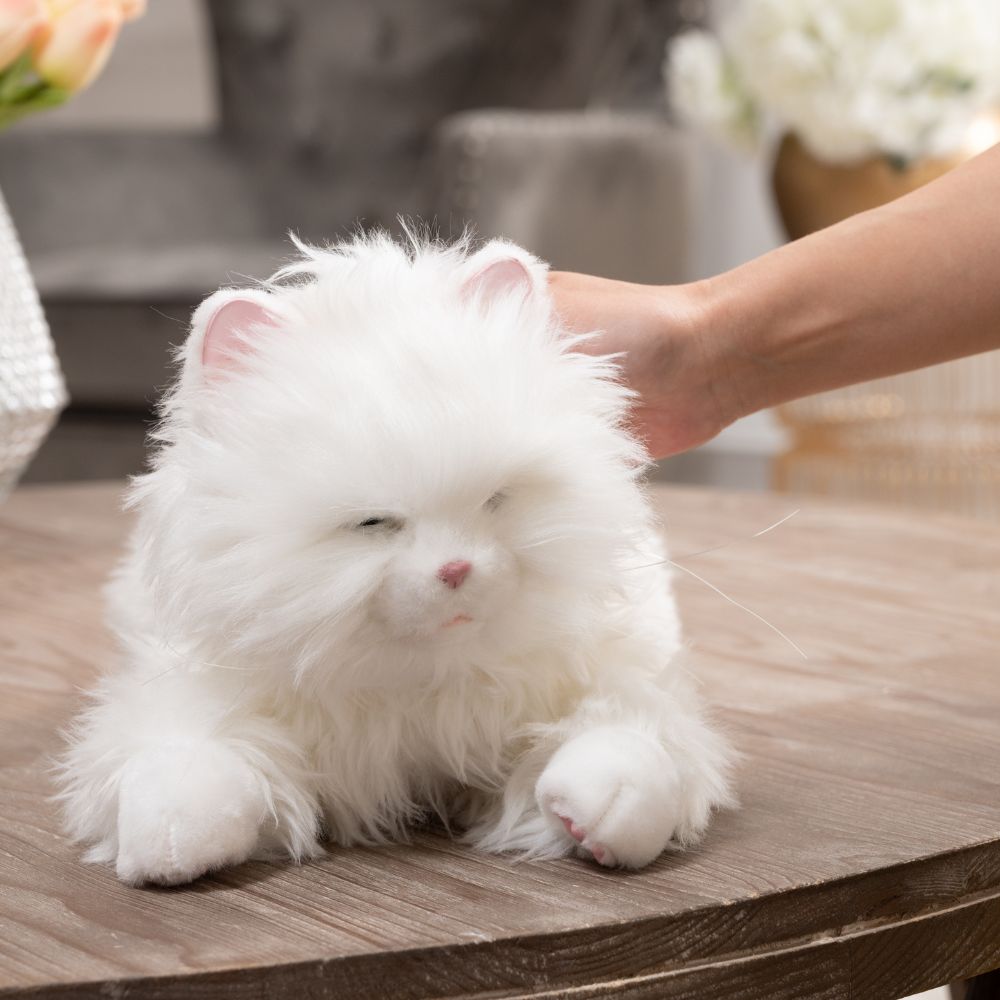  デジレクト しっぽふりふり あまえんぼう子ねこちゃん シツポフリフリアマエンボウコネコチヤン