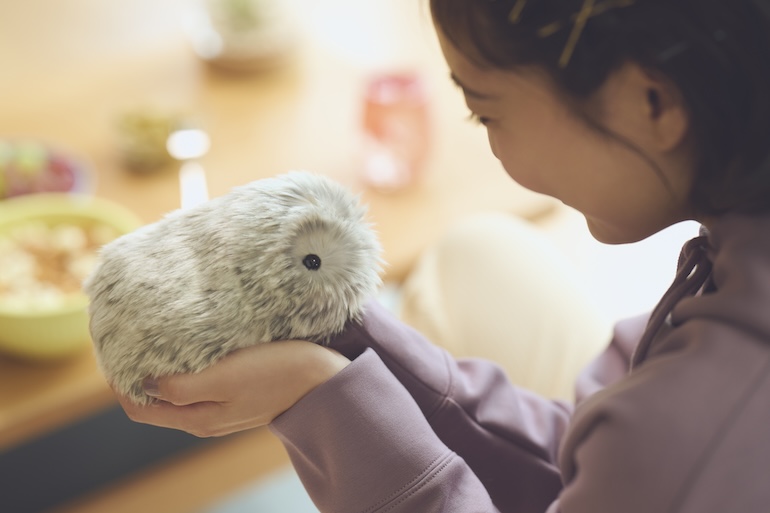 究極の癒しペット 話題のモフリン